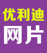 优利迪网片