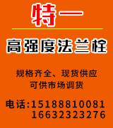特一高强度法兰栓  