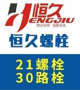恒久21栓   30栓  高强度螺栓