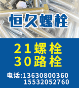 恒久21栓   30栓  高强度螺栓