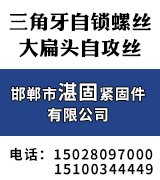 湛固三角牙自锁螺丝 大扁头自攻丝 六角钻尾丝