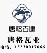 ​唐格瓦业