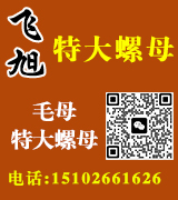飞旭特大螺母