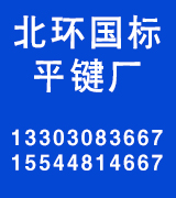 北环国标平键厂