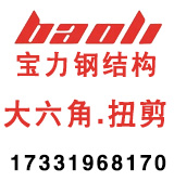 宁波宝力钢结构 大六角扭剪