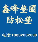 鑫峰垫圈 防松垫
