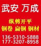 万成纵剪开平 钢卷 扁钢 钢材