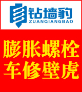 钻墙豹膨胀螺栓 车修壁虎