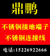 鼎鹏不锈钢接地端子  不锈钢连接线