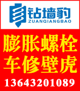 钻墙豹膨胀螺栓 车修壁虎